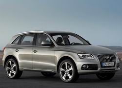 AUDI Q5 2.0 TDI QUATTRO 170CV S-TRONIC